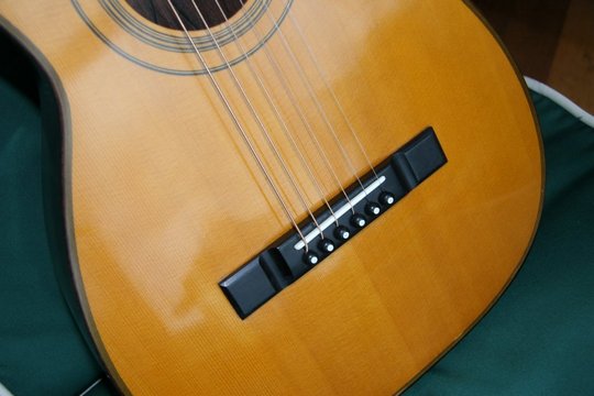 Vintage parlour guitar