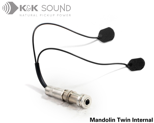Mandolin Twin Internal
