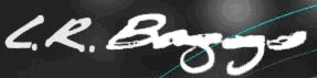 LR Baggs logo